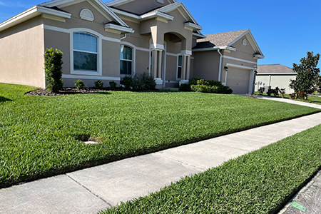 Lawn Service Lakeland FL