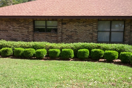 Lawn Service Lakeland FL