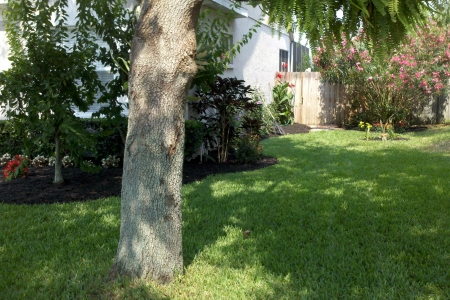 Lawn Service Lakeland FL