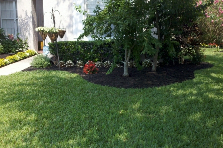 Lawn Service Lakeland FL