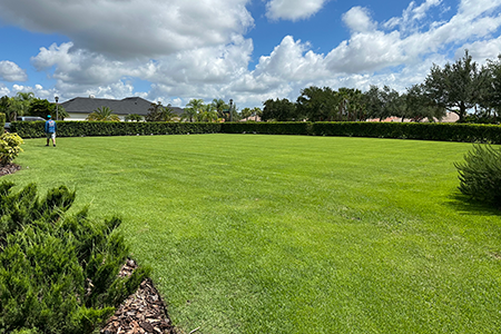 Lawn Service Lakeland FL