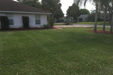 Lawn Service Lakeland FL