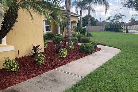 Lawn Service Lakeland FL