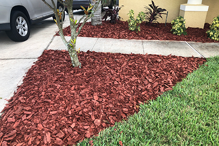 Lawn Service Lakeland FL