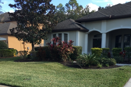 Lawn Service Lakeland FL