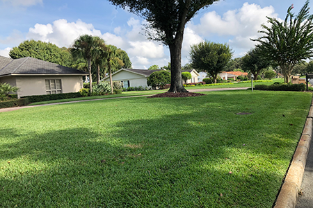 Lawn Service Lakeland FL