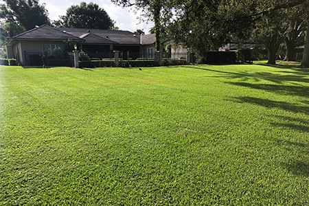 Lawn Service Lakeland FL