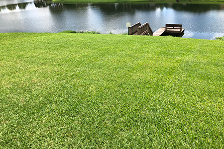 Lawn Service Lakeland FL