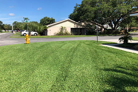 Lawn Service Lakeland FL