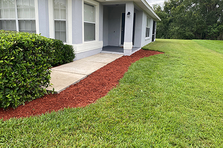 Lawn Service Lakeland FL