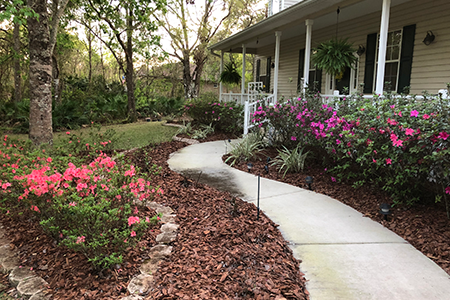 Lawn Service Lakeland FL