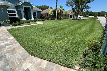 Lawn Service Lakeland FL