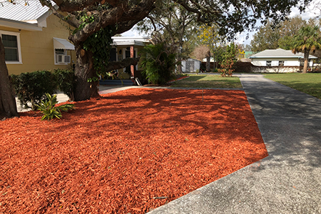 Lawn Service Lakeland FL