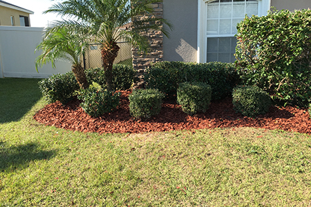Lawn Service Lakeland FL
