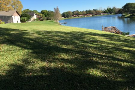 Lawn Service Lakeland FL