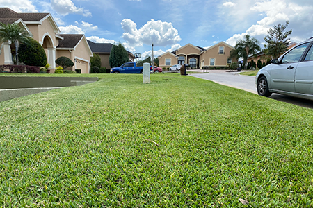 Lawn Service Lakeland FL