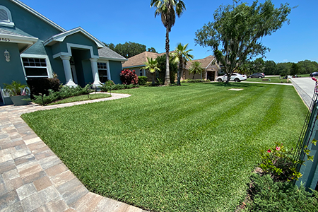 Lawn Service Lakeland FL